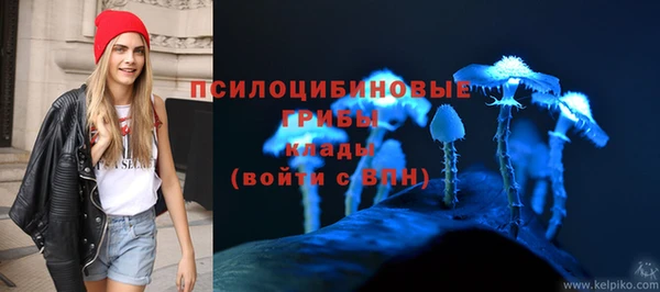 mdpv Беломорск