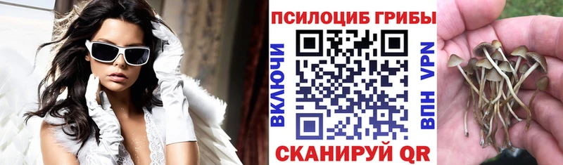 Псилоцибиновые грибы мухоморы  Горячий Ключ 