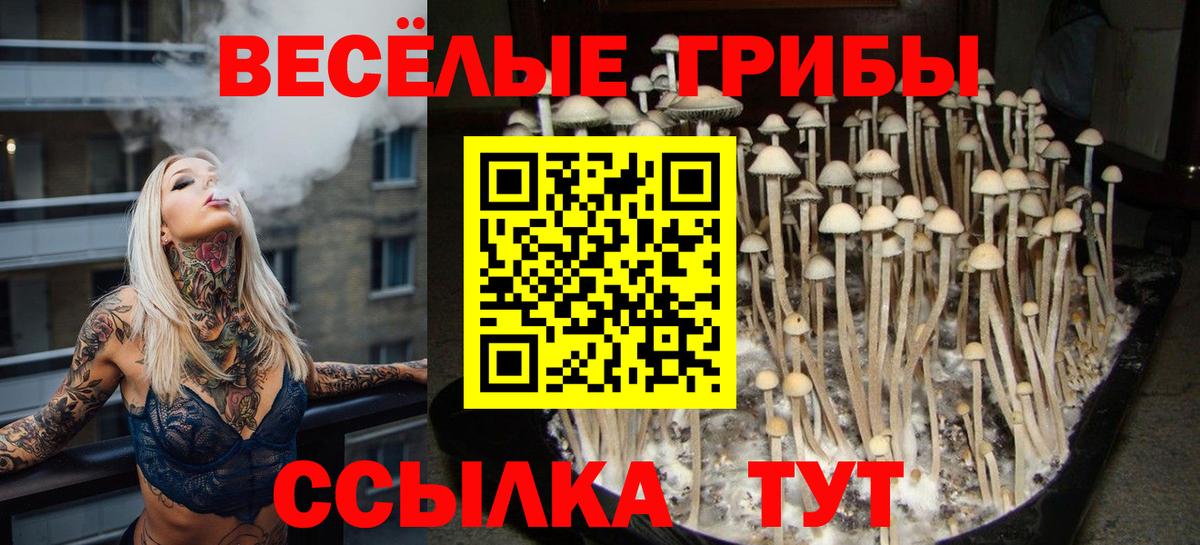 Псилоцибиновые грибы прущие грибы  Псилоцибиновые грибы ЛСД  Горячий Ключ  купить  цена  Вход с VPN 